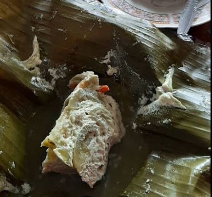 Gadon Sapi